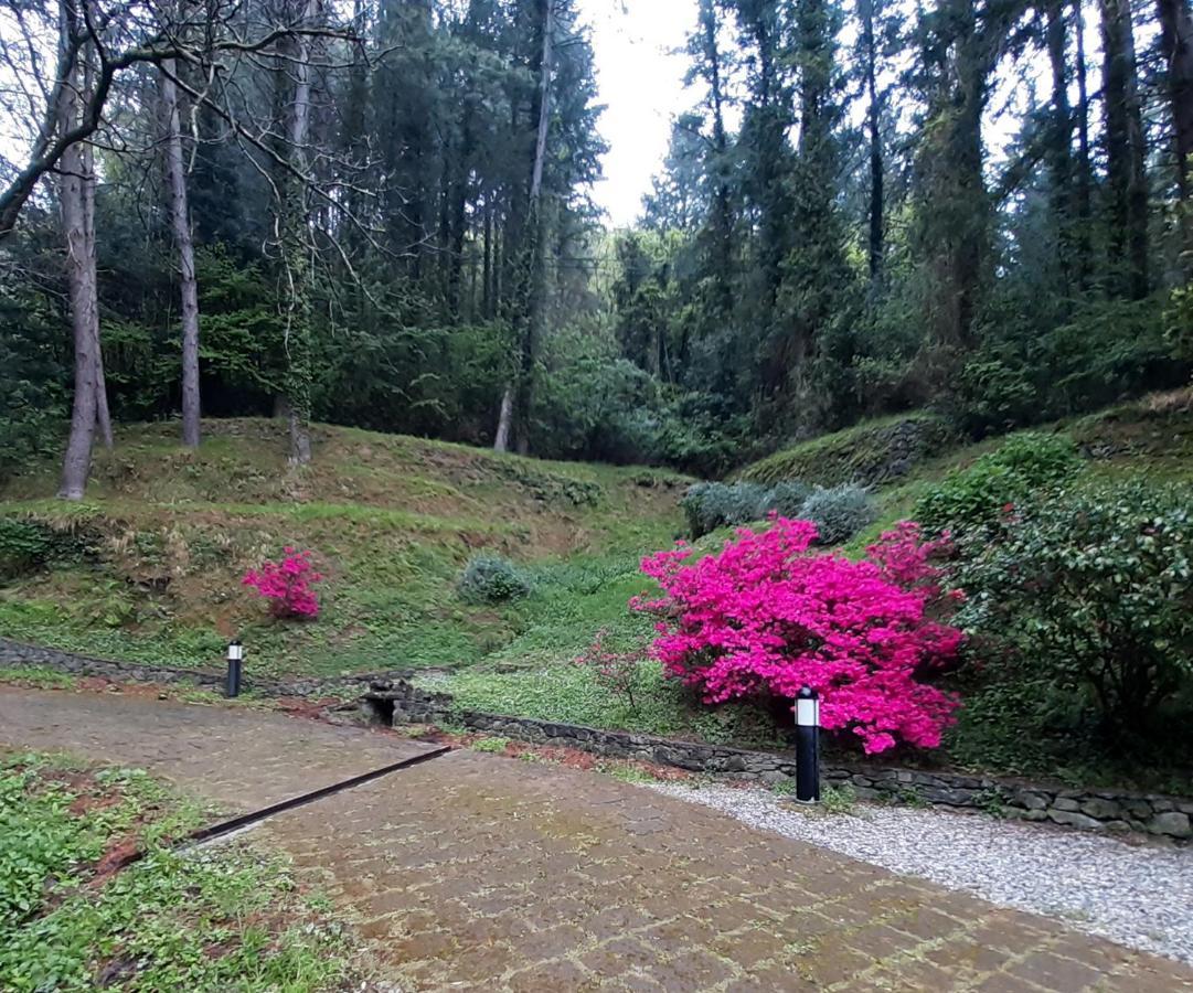 Il Bosco Di Campo Marzano Garden Apartments Borzonasca المظهر الخارجي الصورة