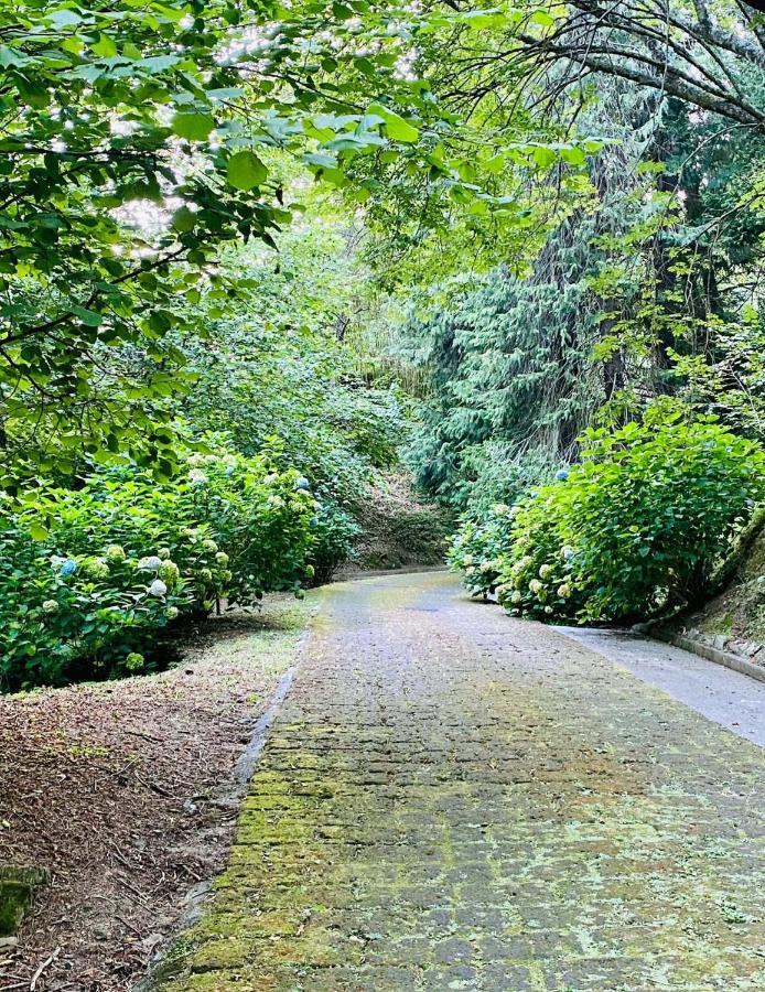 Il Bosco Di Campo Marzano Garden Apartments Borzonasca المظهر الخارجي الصورة