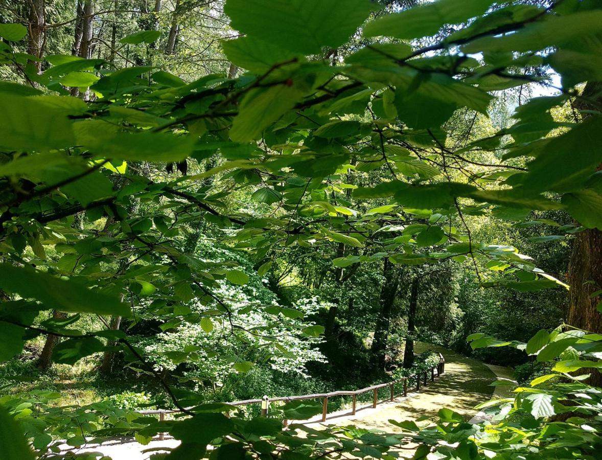 Il Bosco Di Campo Marzano Garden Apartments Borzonasca المظهر الخارجي الصورة