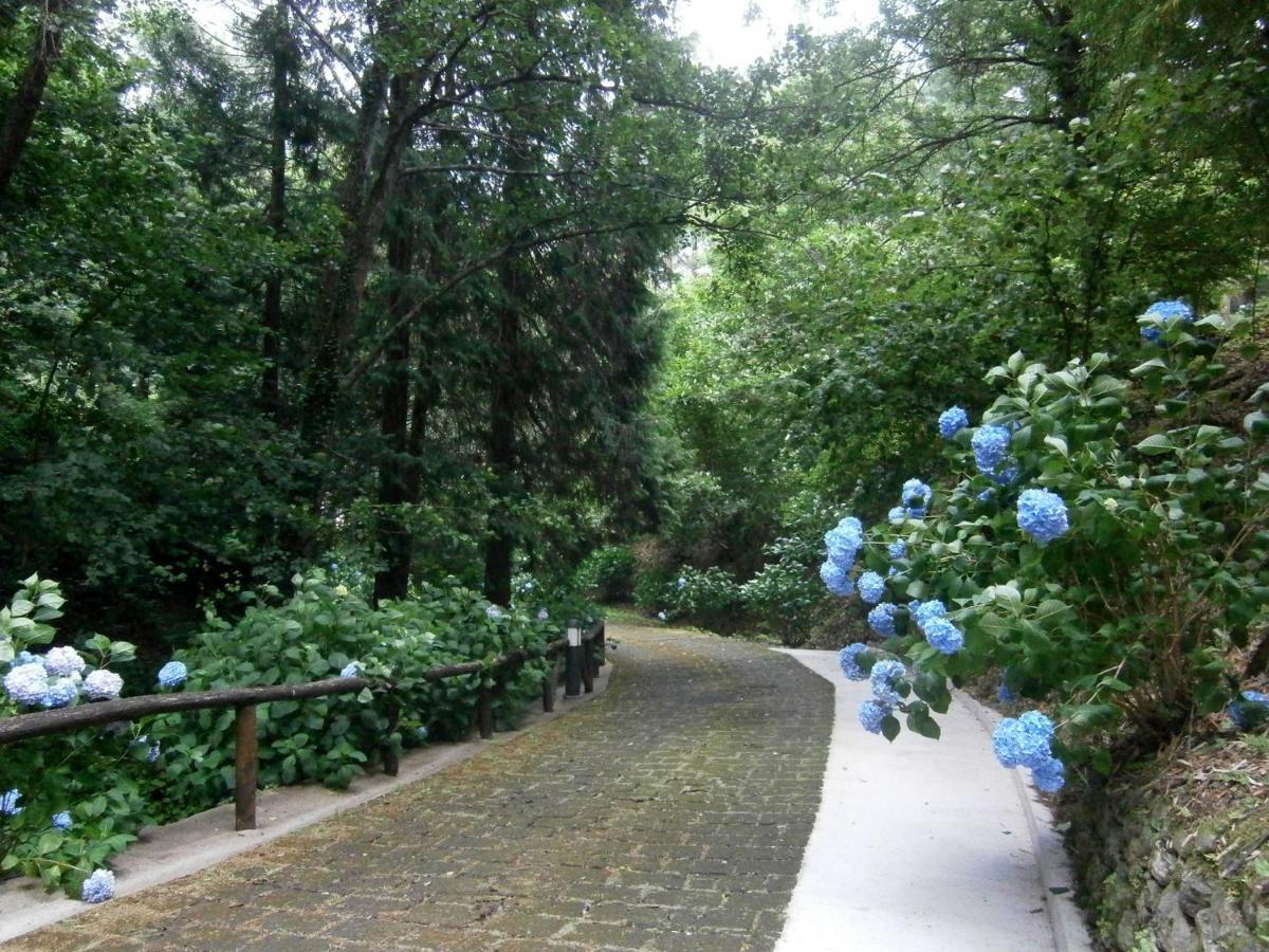 Il Bosco Di Campo Marzano Garden Apartments Borzonasca المظهر الخارجي الصورة